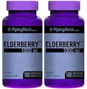 Kauf Elderberry